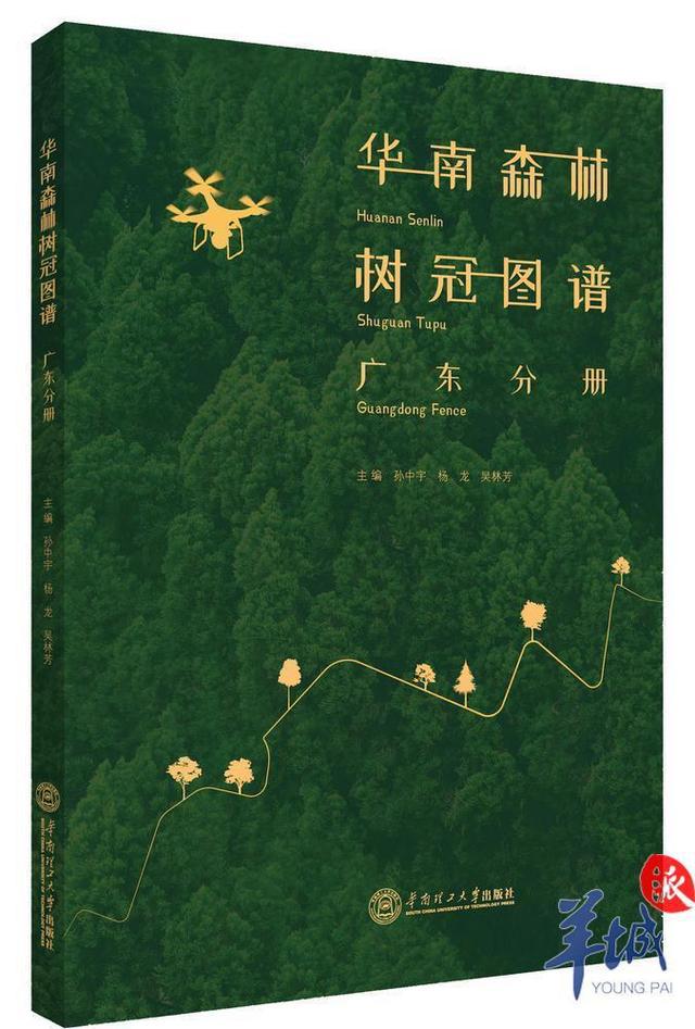 南宫28ng科学驿站｜广州科学家推出全球首本树冠图谱(图2)