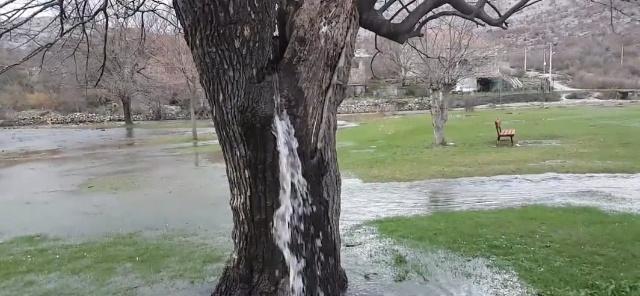 南宫28ng欧洲神奇的“喷水树”水从树干喷涌而出一天到头都在流个不停(图5)