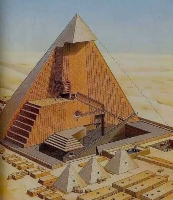 南宫28ng30张活久见的照片世界第三大树吉萨古代金字塔内部示意图(图7)