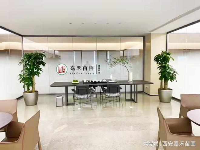 南宫28ng西安企业办公室花卉绿植租赁月租套餐(图1)