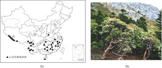 南宫28ng高考地理中几种特殊的树地理视角看三农问题(图2)