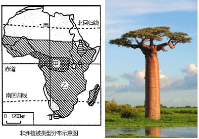 南宫28ng高考地理中几种特殊的树地理视角看三农问题(图7)