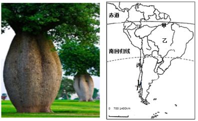南宫28ng高考地理中几种特殊的树地理视角看三农问题(图6)