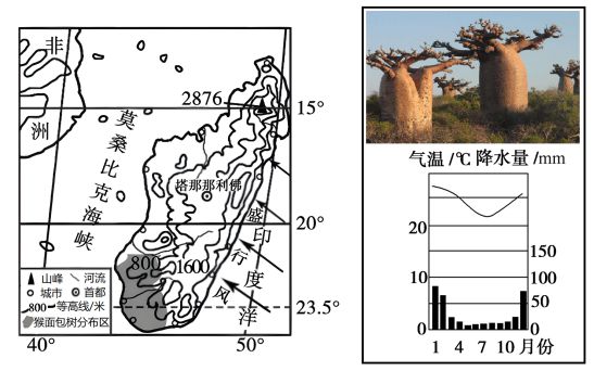 南宫28ng高考地理中几种特殊的树地理视角看三农问题(图9)