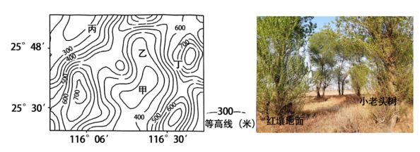 南宫28ng高考地理中几种特殊的树地理视角看三农问题(图24)