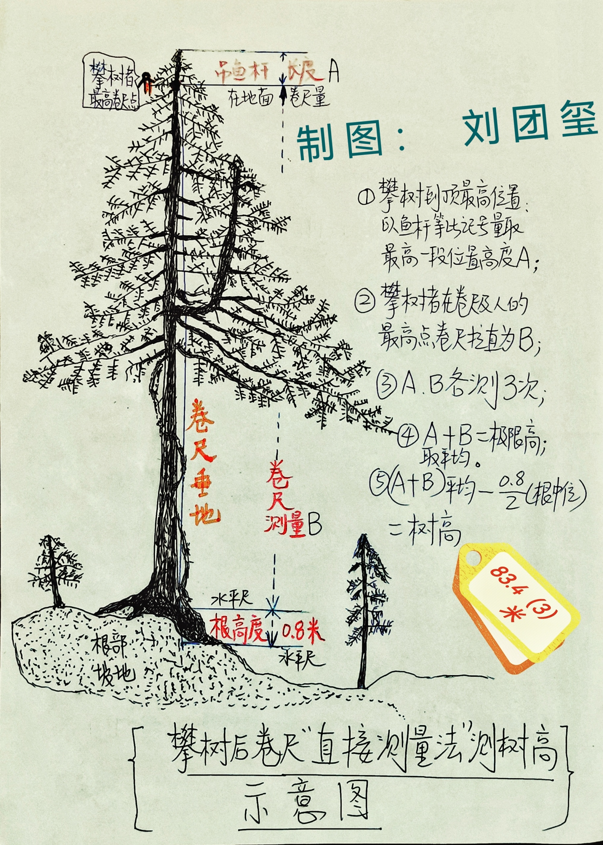 南宫28ng对话中国第一高树测量者：让公众更了解森林的生态价值(图3)