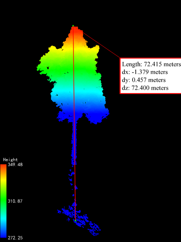 南宫28ng724米！广西发现中国岩溶地区最高树(图3)